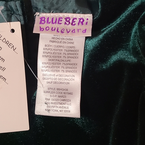 Blueberi Boulevard Deep Green Velvet Dress NWT RV $70 12 Months - Picture 4 of 10